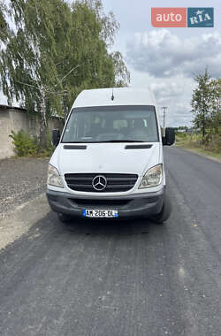 Mercedes-Benz Sprinter 2009