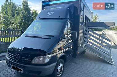 Mercedes-Benz Sprinter  2002