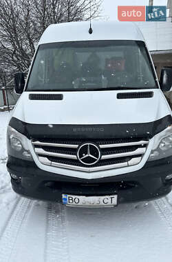 Характеристики Mercedes-Benz Sprinter Мікроавтобус вантажний (до 3,5т)