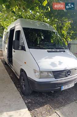 Цены Mercedes-Benz Минивэн в Черновцах