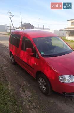 Цены Volkswagen Минивэн в Славуте