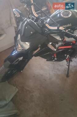 Цены Kawasaki Мотоцикл Многоцелевой (All-round)