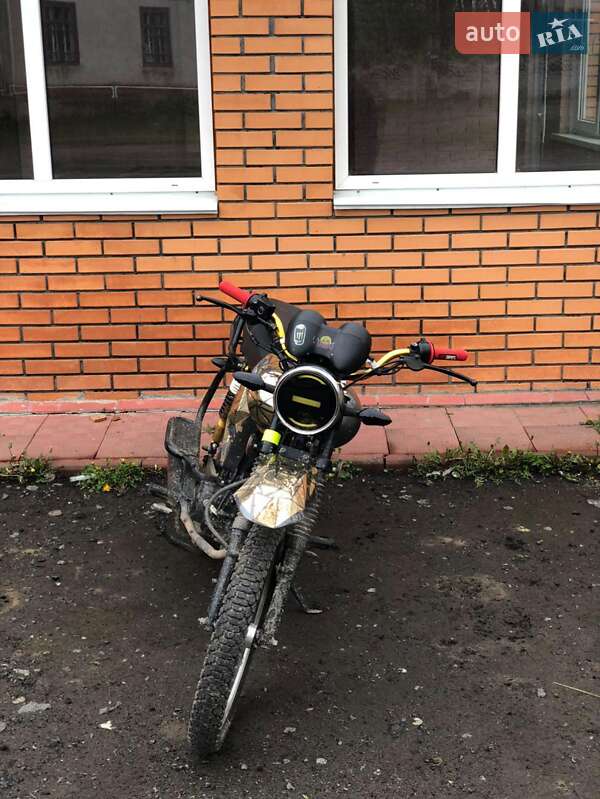 Musstang Dingo