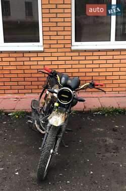 Musstang Dingo askjs 2020