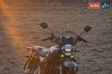 Musstang Dingo  2020