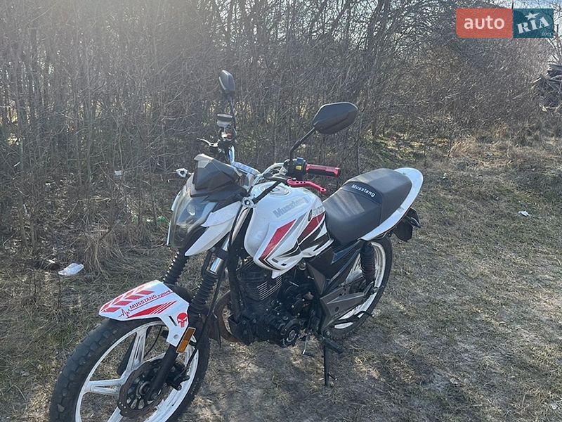 Вантажні моторолери, мотоцикли, скутери, мопеди Musstang MT 200-8