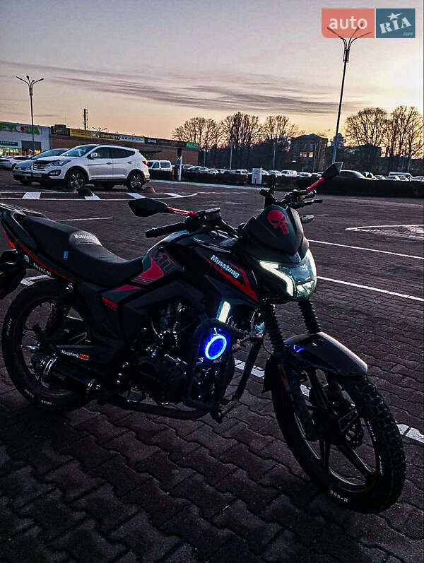 Мотоцикл Многоцелевой (All-round) Musstang MT 250 Region