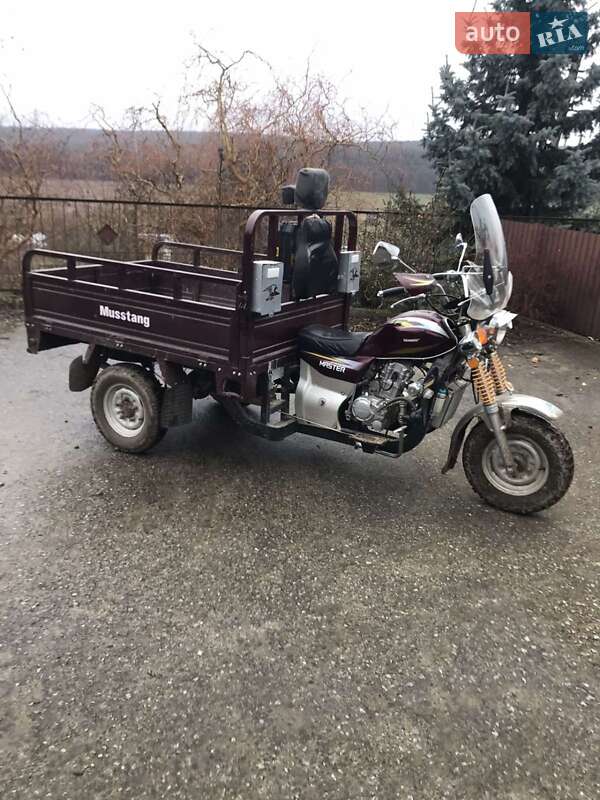 Вантажні моторолери, мотоцикли, скутери, мопеди Musstang MT200ZH-4V