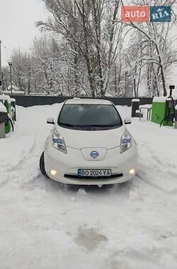 Nissan Leaf  2014