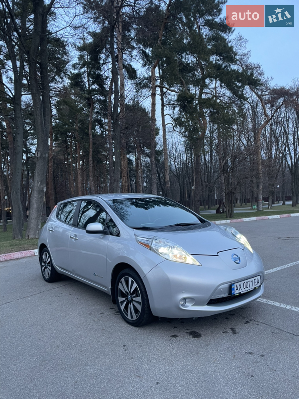 2013 Nissan Leaf - фото 1