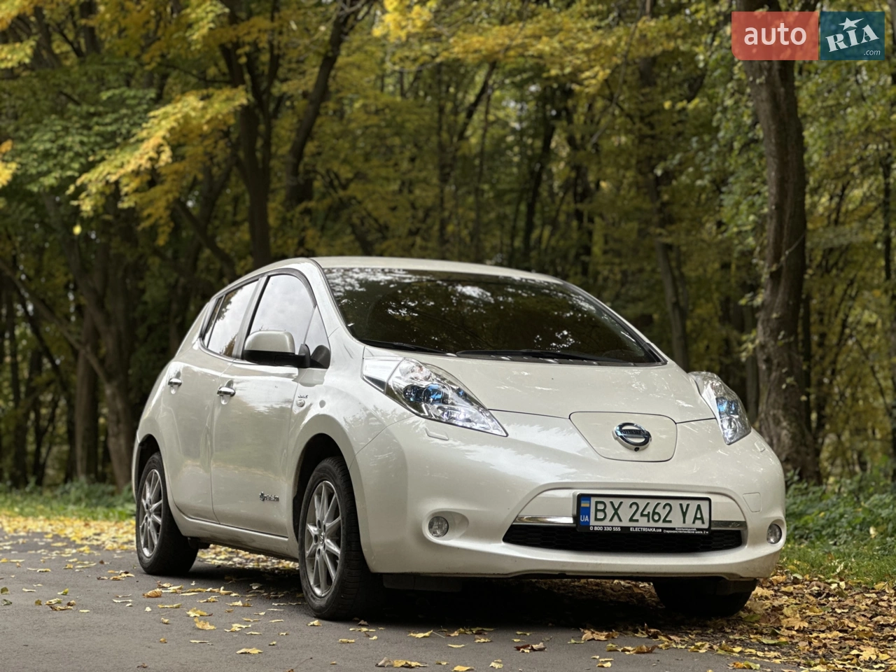2014 Nissan Leaf - фото 1