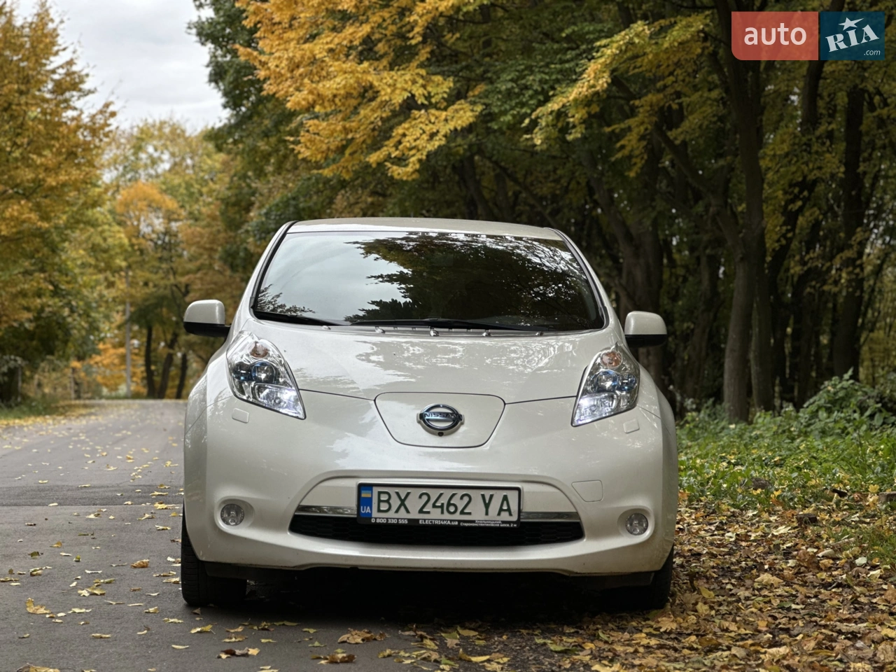 2014 Nissan Leaf - мініатюра 2