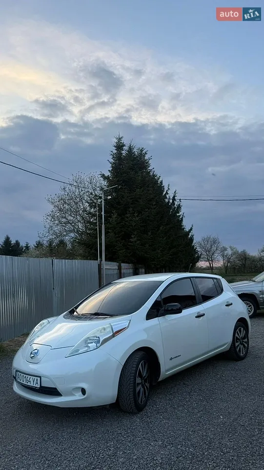 2013 Nissan Leaf - фото 1