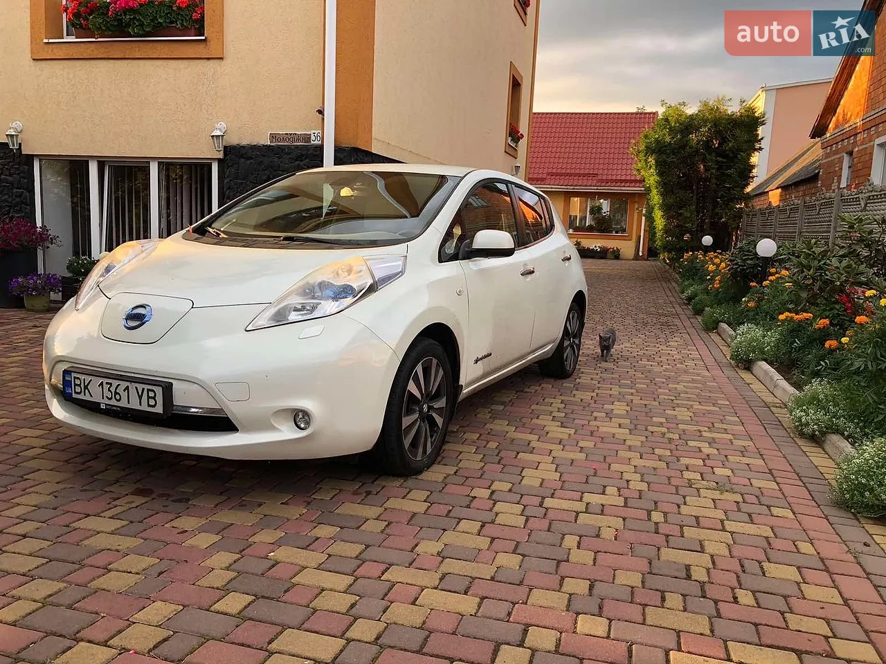 2011 Nissan Leaf - фото 1