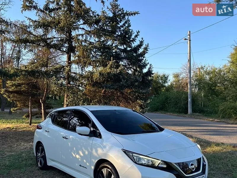 Nissan Leaf 2019
