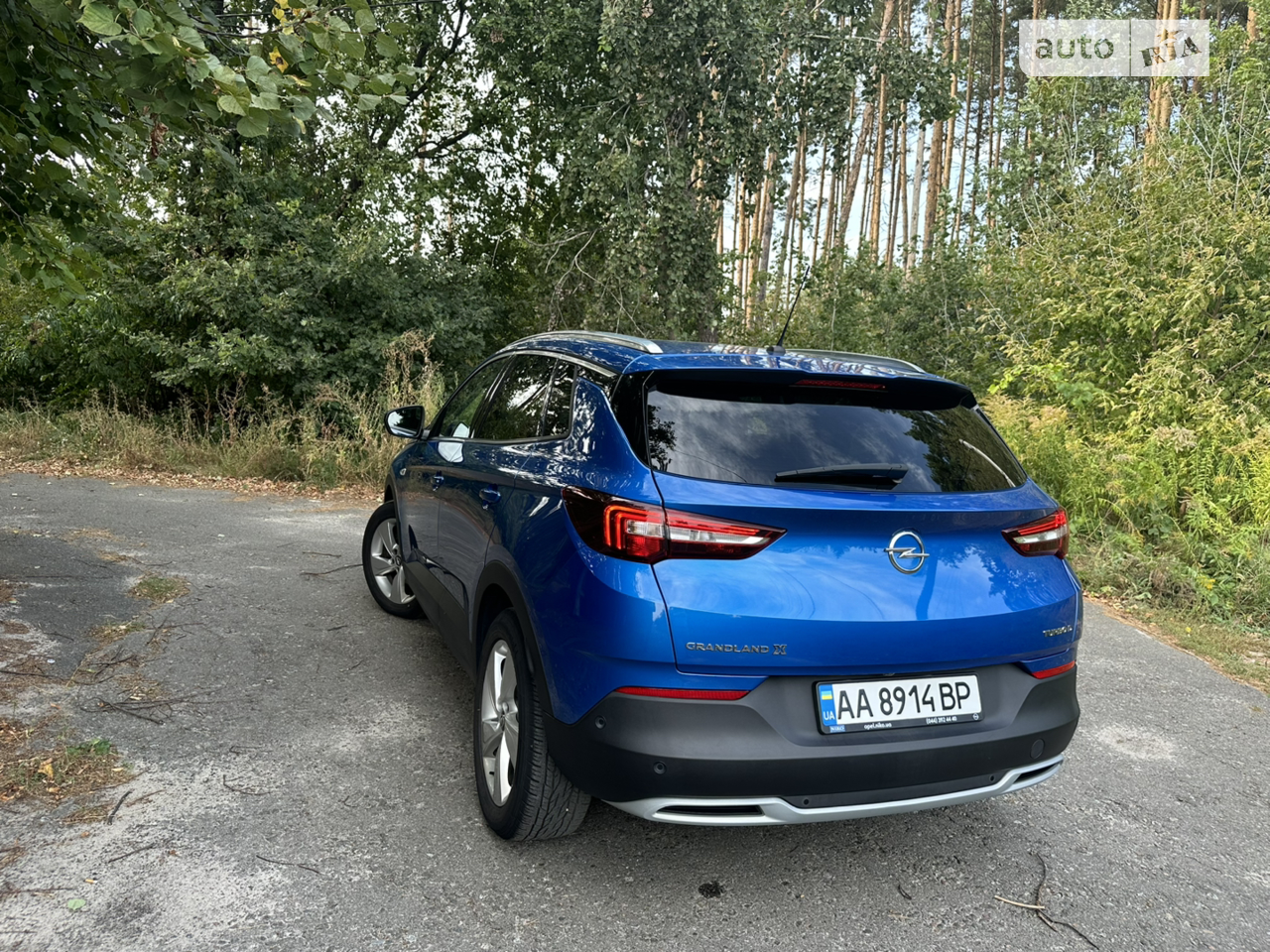 2019 Opel Grandland X - мініатюра 2