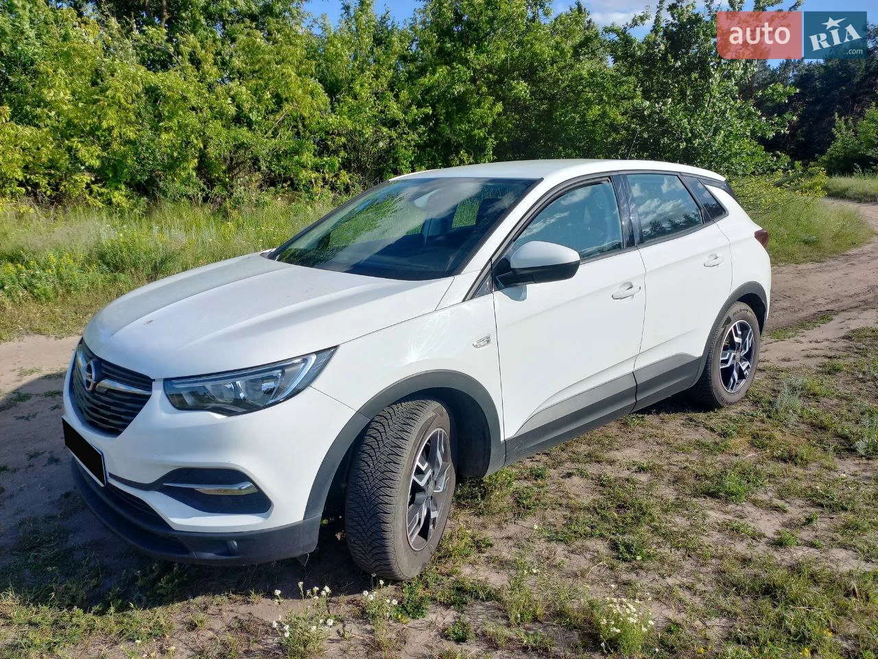 2019 Opel Grandland X - мініатюра 2