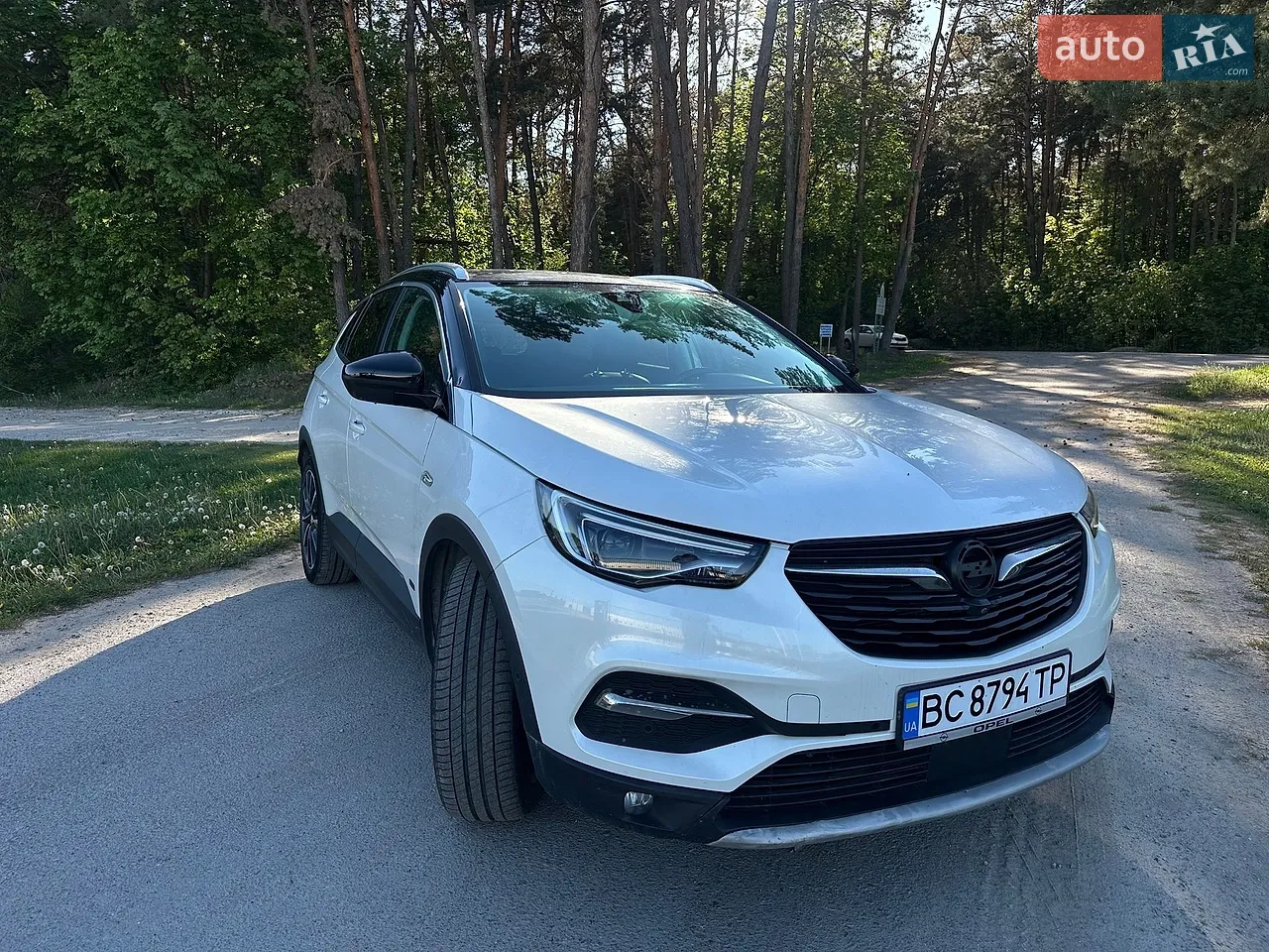 2019 Opel Grandland X - фото 1