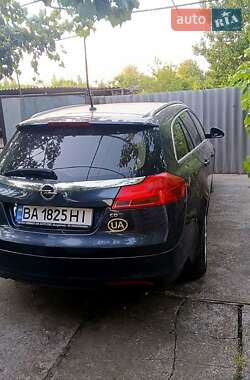 Opel Insignia  2010