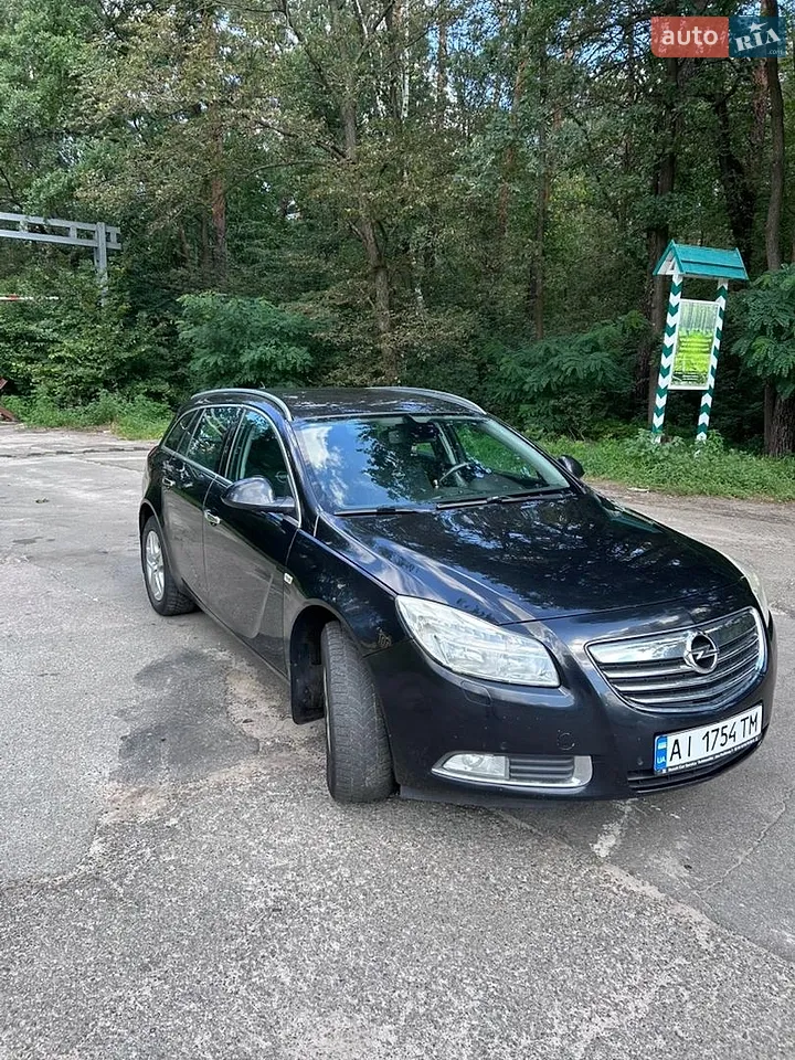 2010 Opel Insignia - мініатюра 2