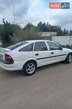 Opel Vectra  1996