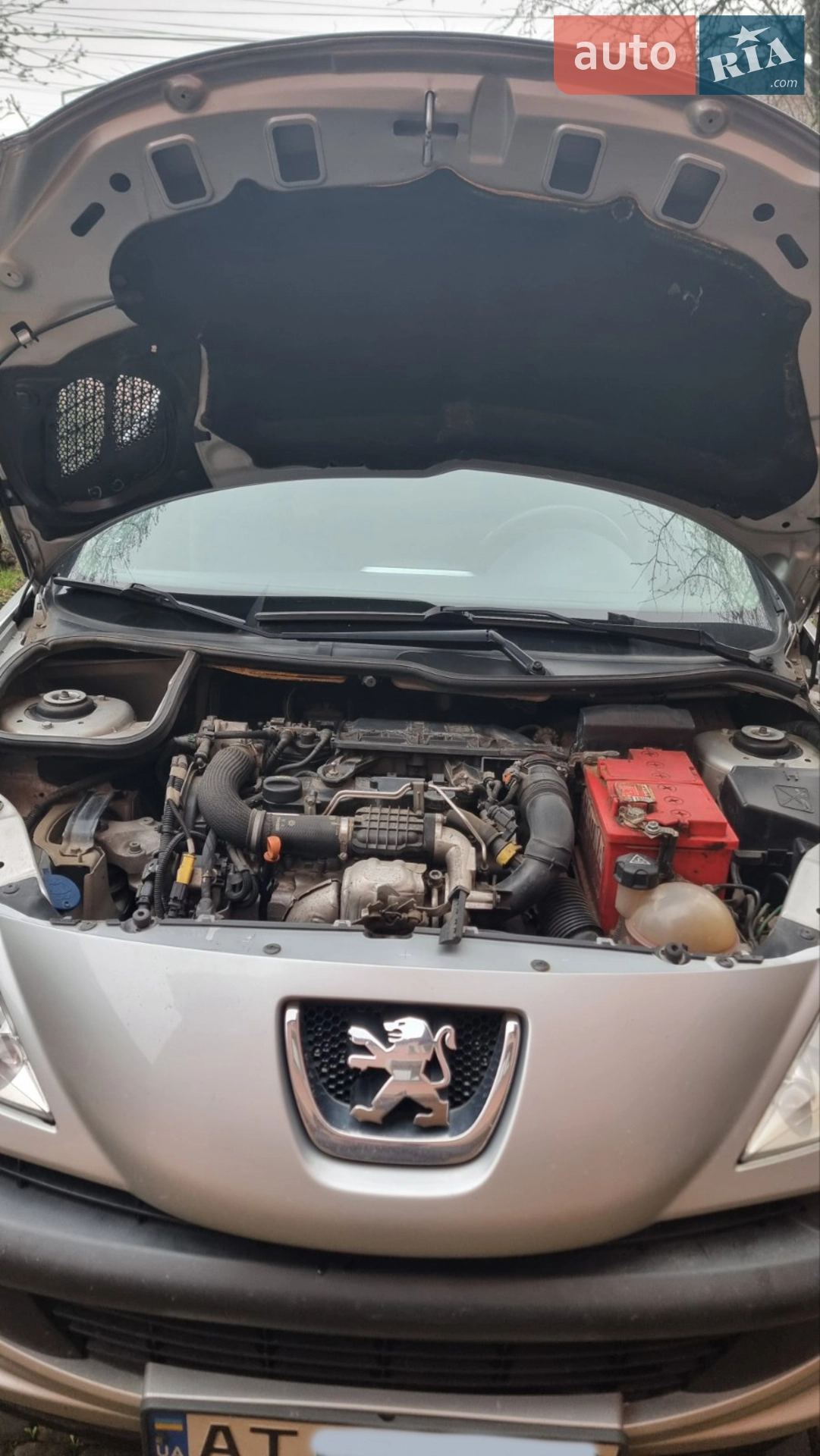 Peugeot 206 2012 VIN VF32M8HR0CY036418 фото оголошення 2 з 10
