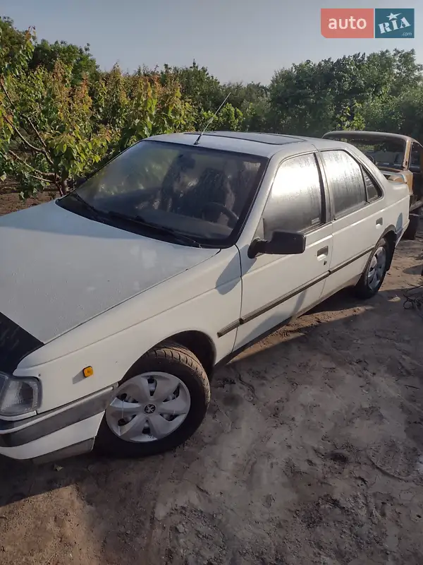 Peugeot 405 1989