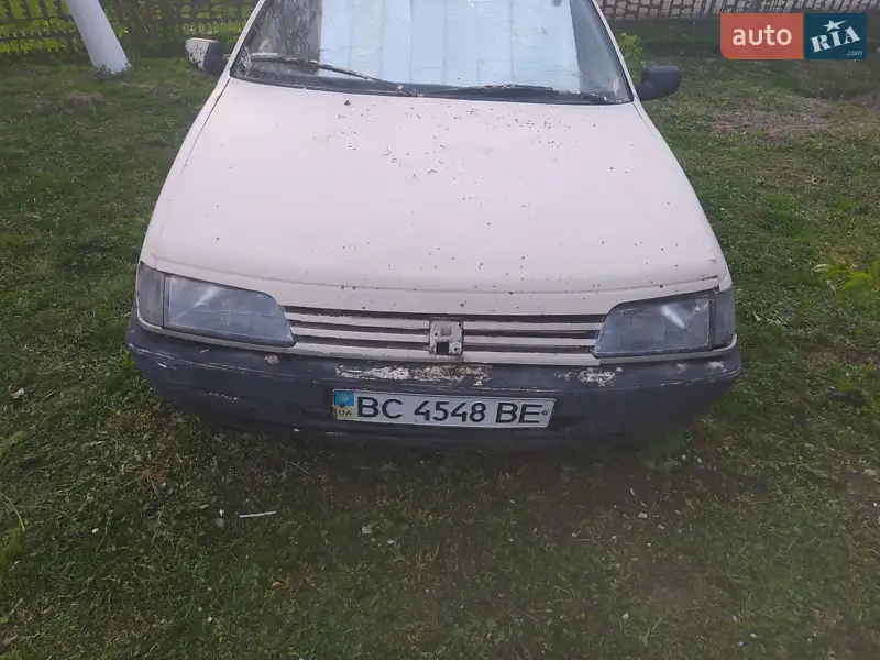 Peugeot 405 1989