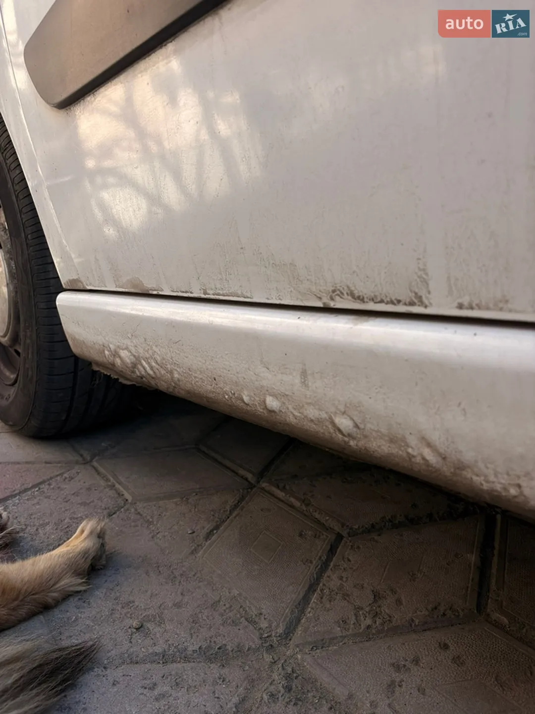 Peugeot Expert 2008 VIN VF3XS9HUC64119341 фото оголошення 14 з 26