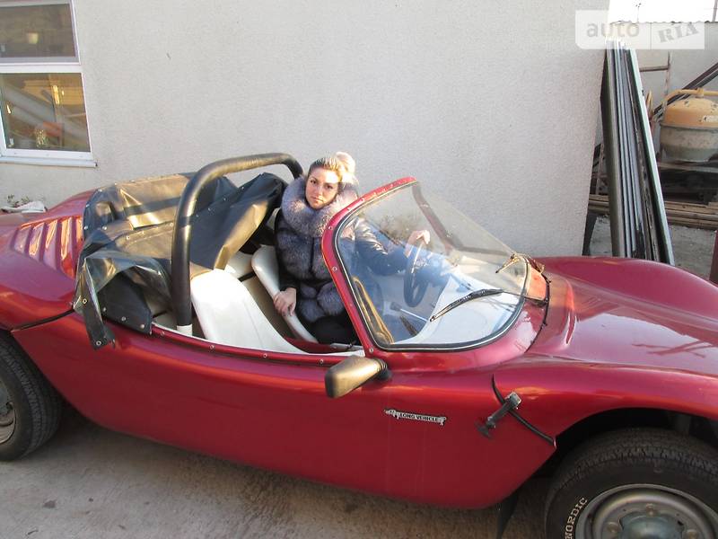 samodelnyj_samodelnyj-avto__125588136fx.