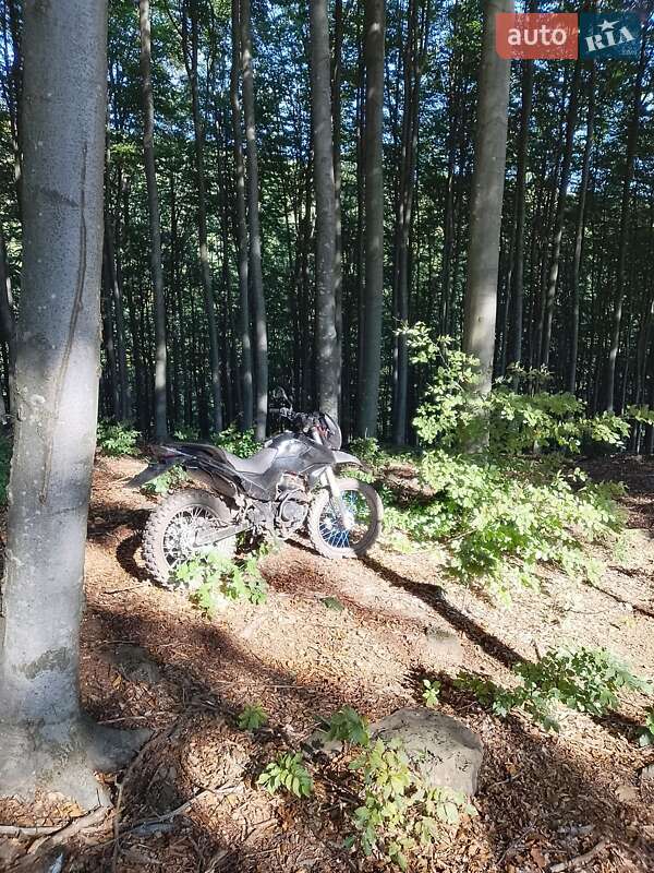 Вантажні моторолери, мотоцикли, скутери, мопеди Shineray X-Trail 200