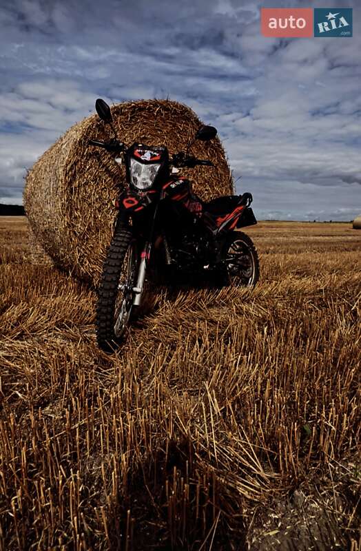 Вантажні моторолери, мотоцикли, скутери, мопеди Shineray XY 200GY-6C