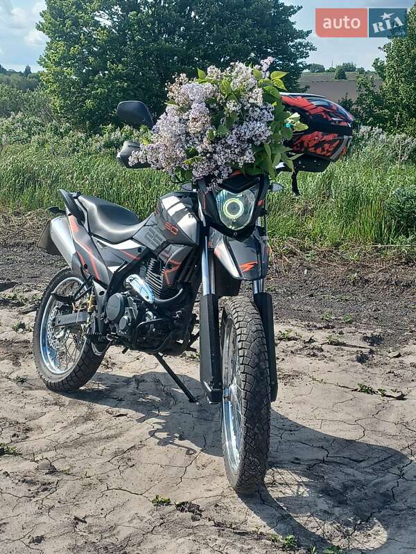 Вантажні моторолери, мотоцикли, скутери, мопеди Shineray XY 250GY-6C