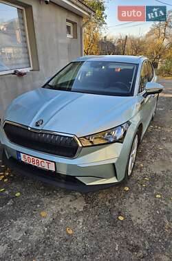 Skoda Enyaq iV  2021