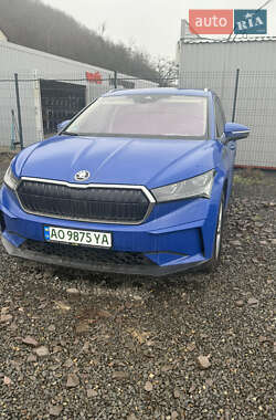 Skoda Enyaq iV  2021