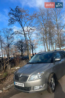 Skoda Fabia  2014