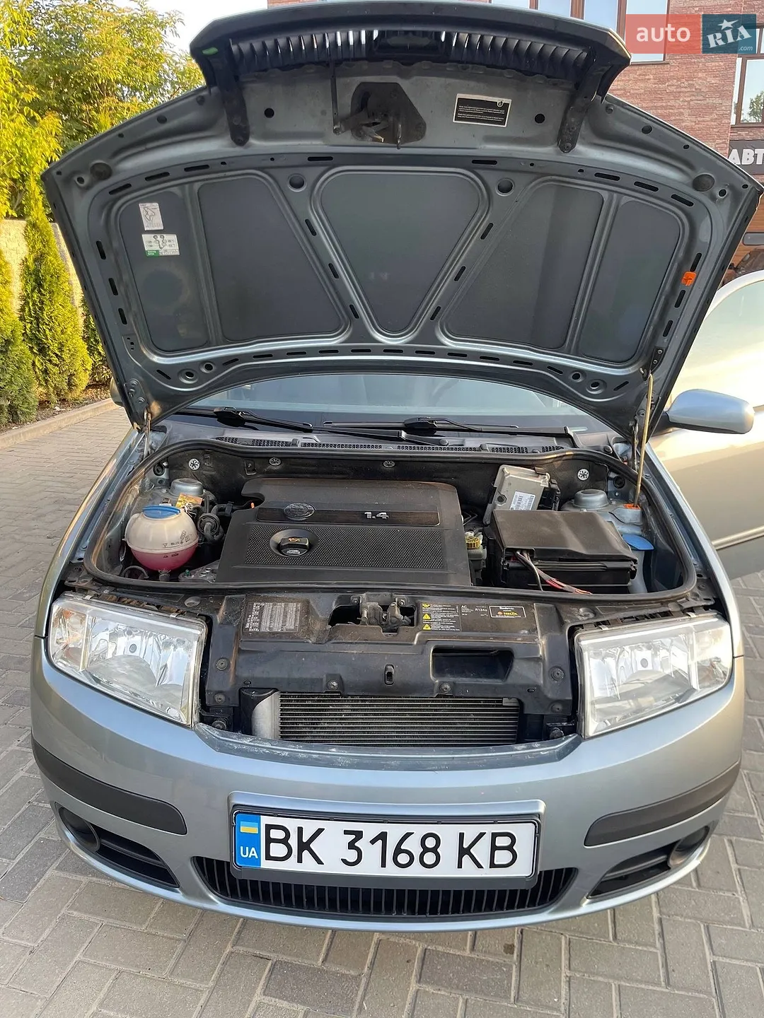 Skoda Fabia 2005 VIN TMBNC26Y264422522 фото оголошення 9 з 10