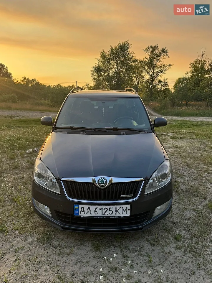 2011 Skoda Fabia - фото 1