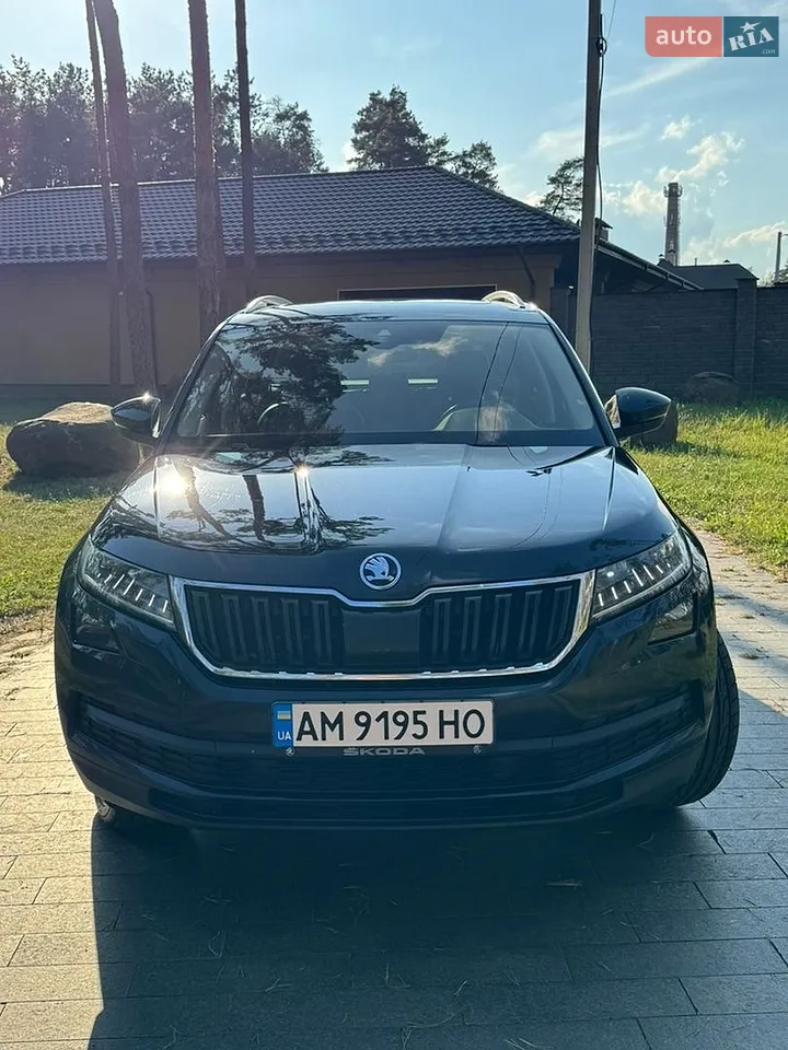 2019 Skoda Kodiaq - мініатюра 4