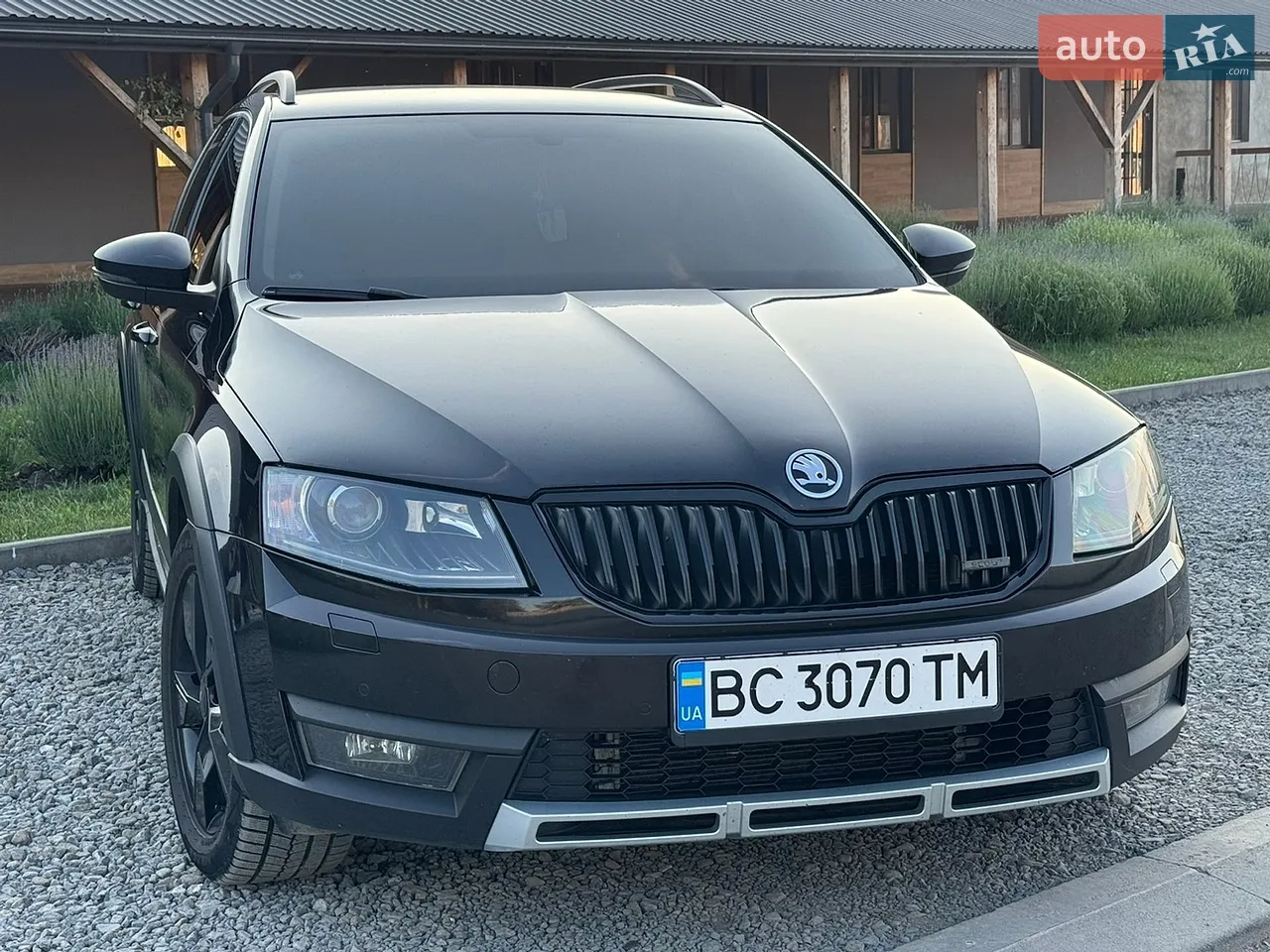 2014 Skoda Octavia - мініатюра 4