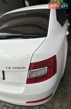 Skoda Octavia  2013