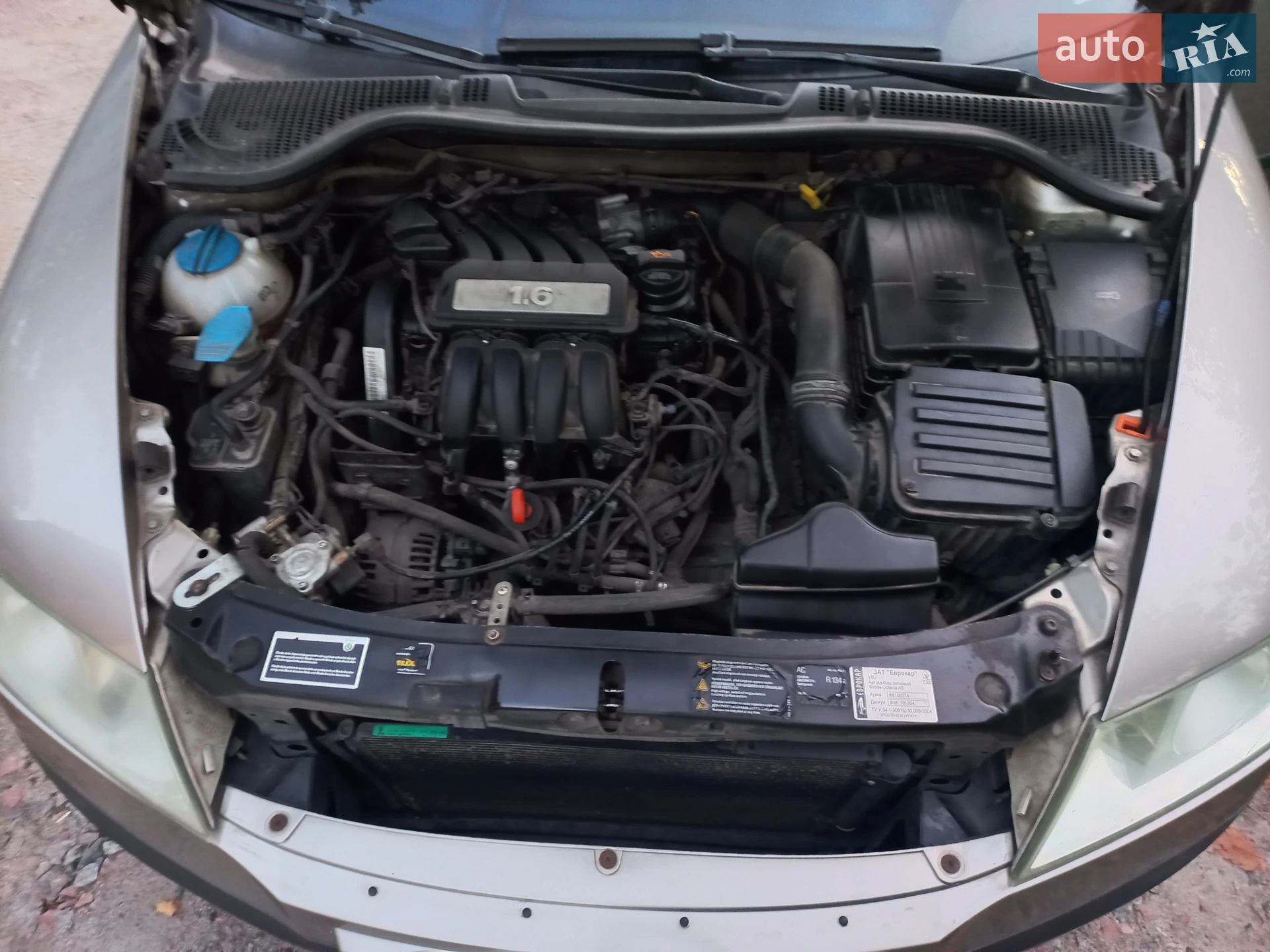 Skoda Octavia 2008 VIN TMBGA41ZX8B160774 фото оголошення 8 з 21