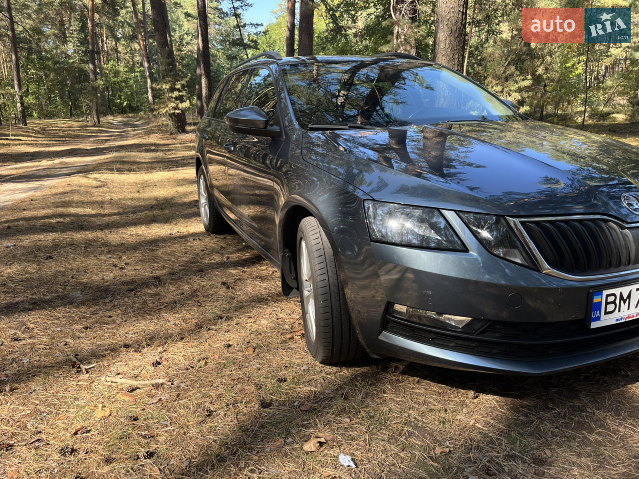 2017 Skoda Octavia - мініатюра 3