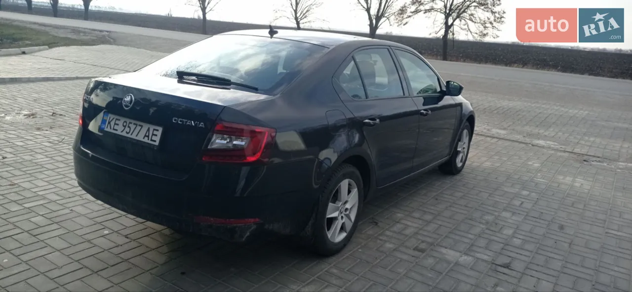 2019 Skoda Octavia - мініатюра 3