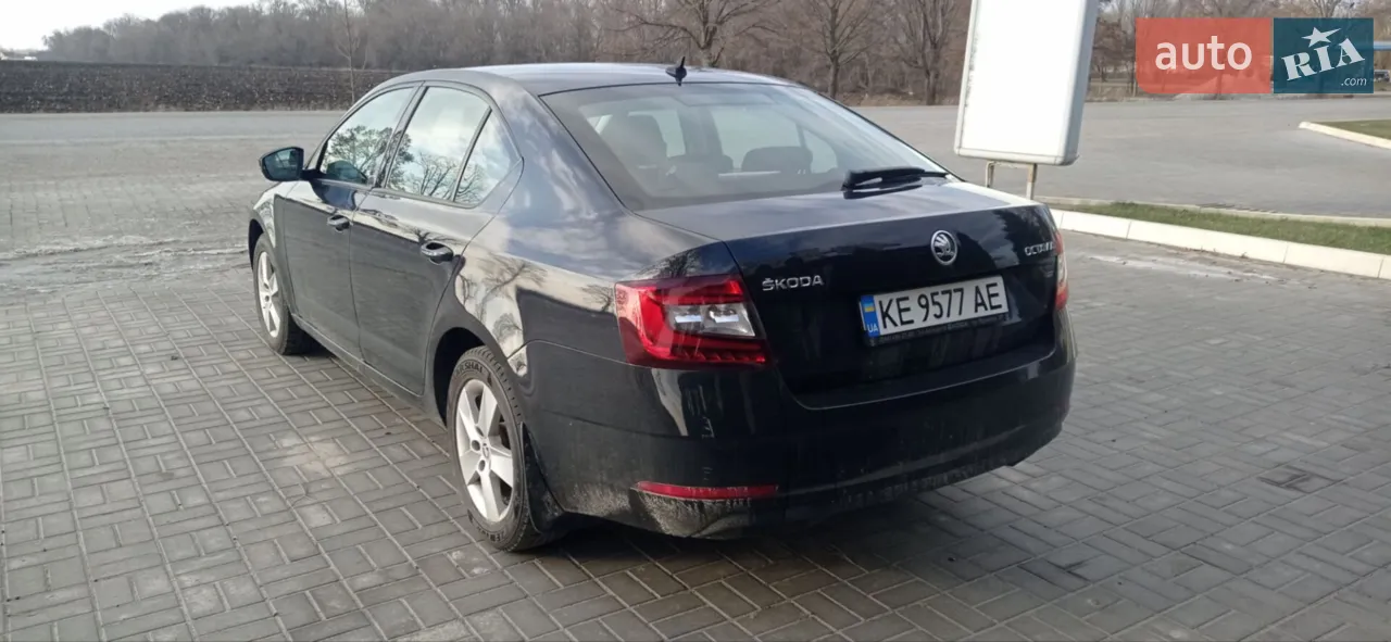 2019 Skoda Octavia - мініатюра 4