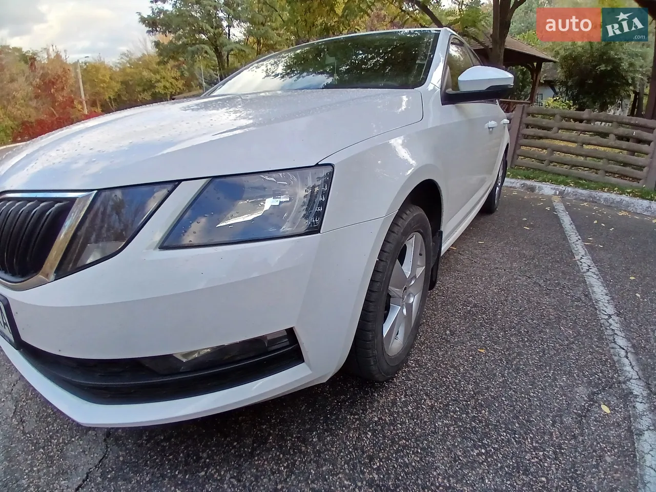 2019 Skoda Octavia - мініатюра 3