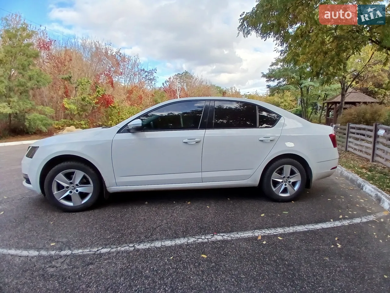 2019 Skoda Octavia - фото 1