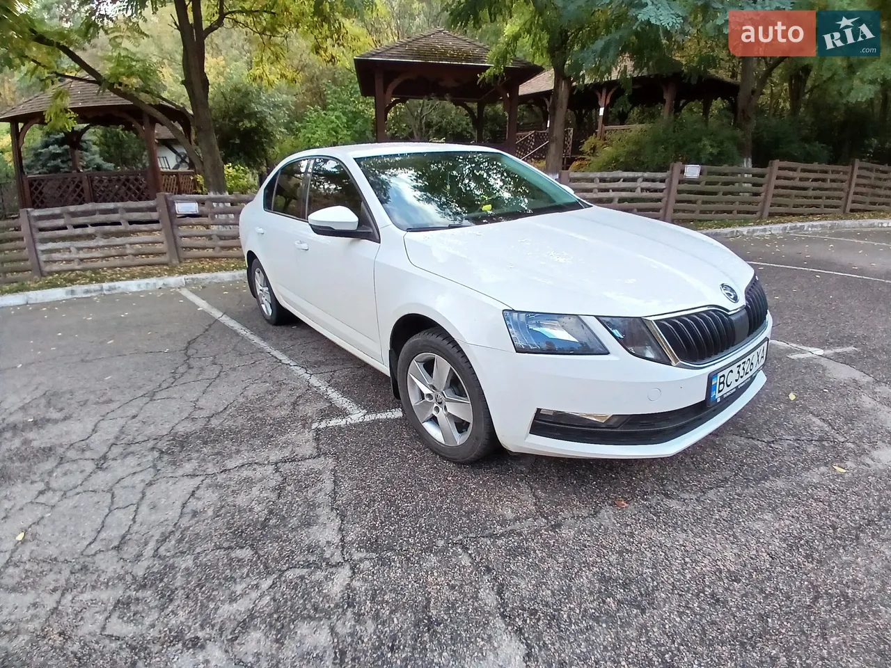 2019 Skoda Octavia - мініатюра 5