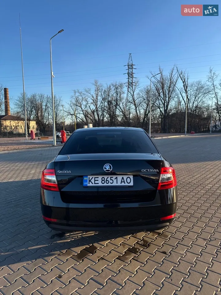 2017 Skoda Octavia - мініатюра 3