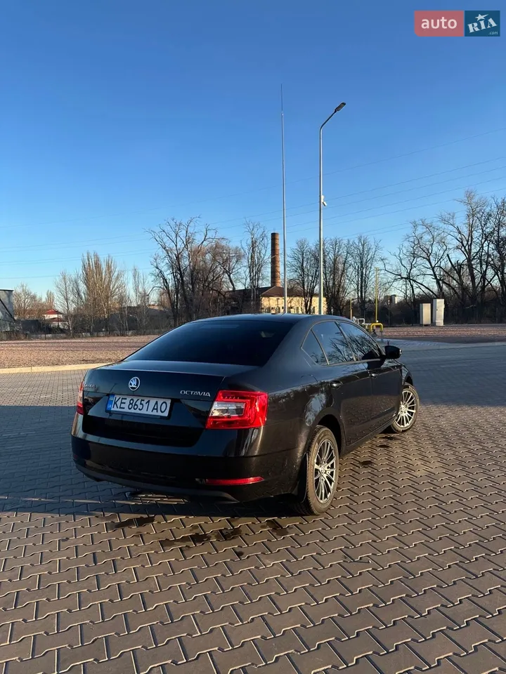 2017 Skoda Octavia - мініатюра 5